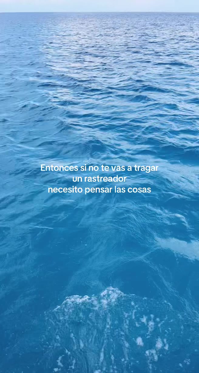 @Curvaspeligrosas33