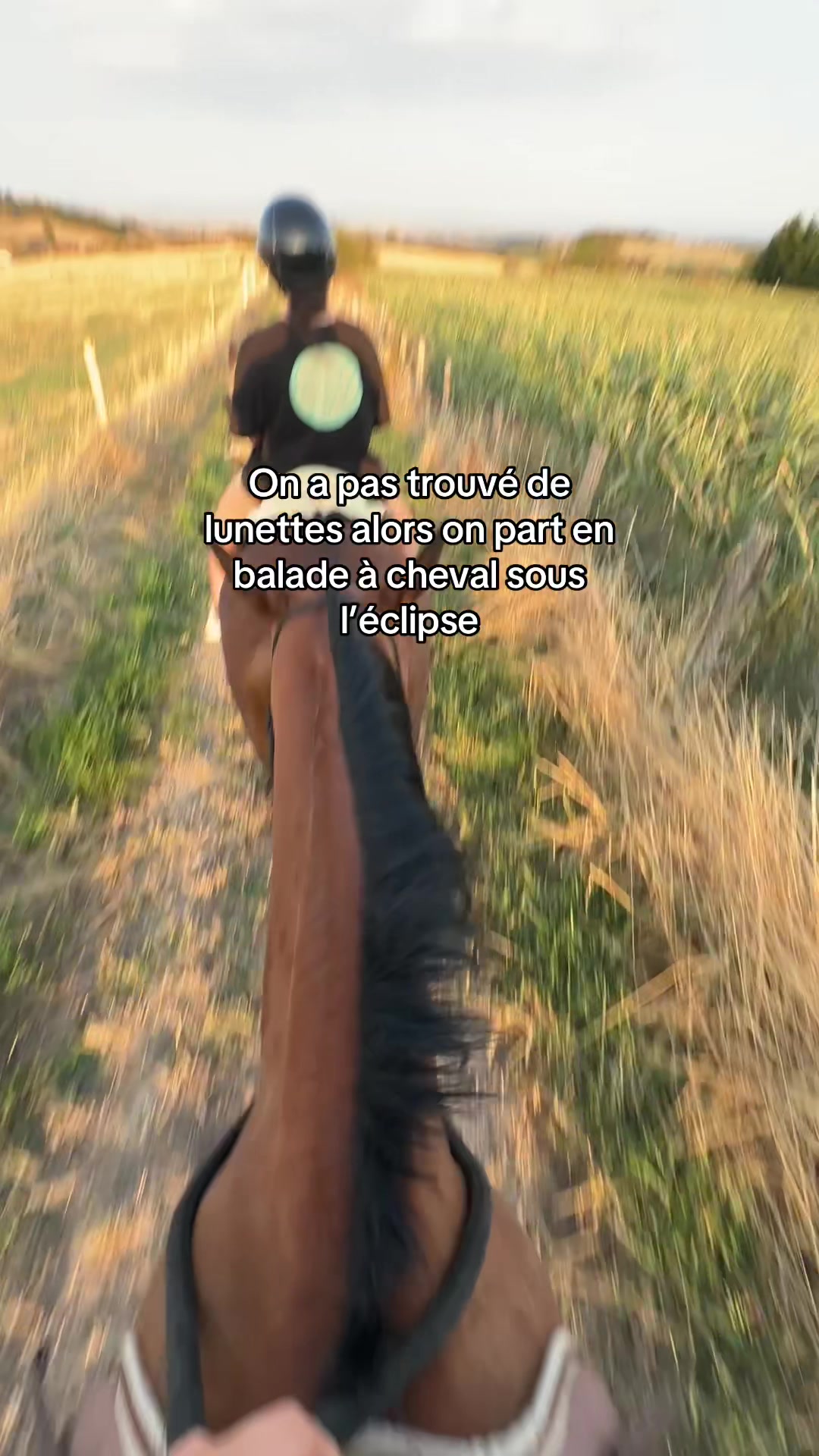 @Seren the pony ๐ด