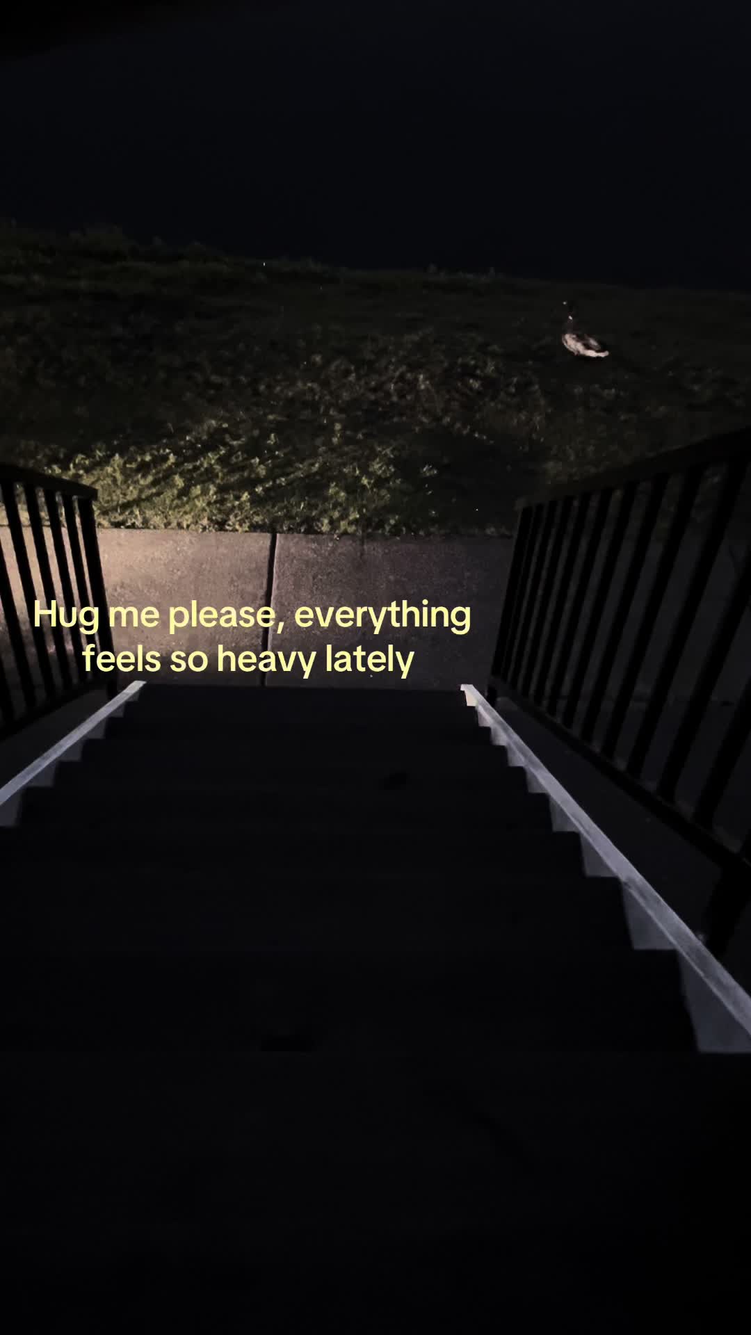 @harlyfn