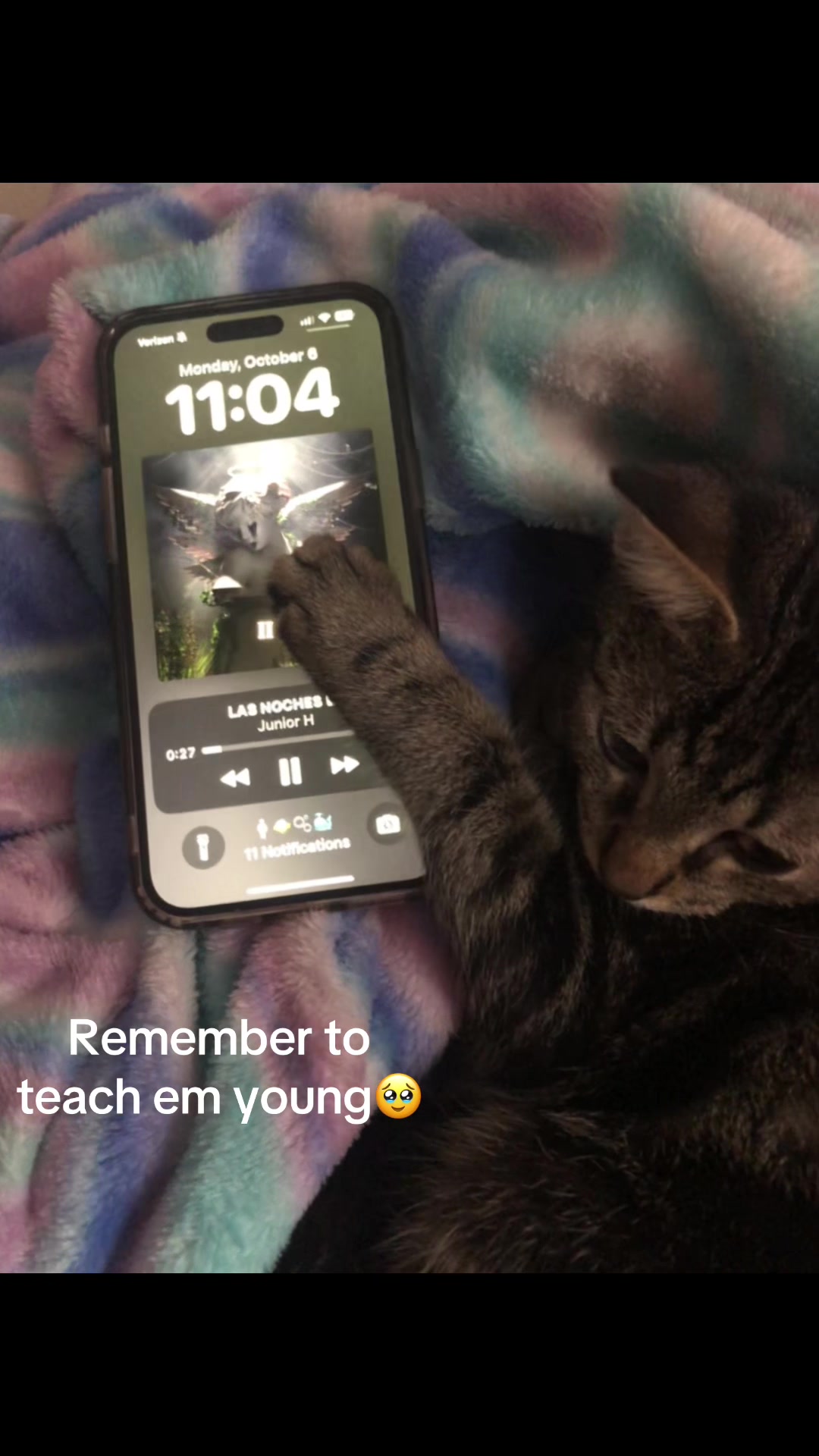@❀