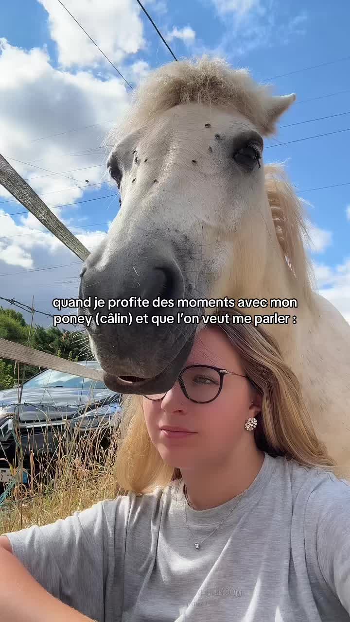 @benjyylepetitponey