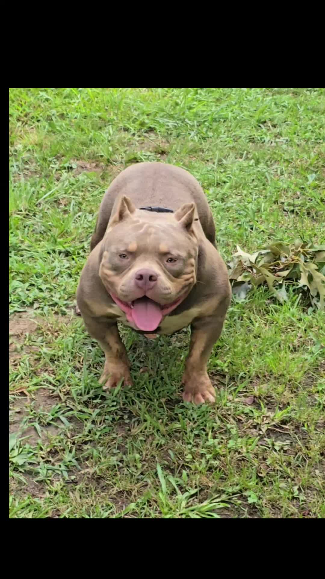 @EClassBullys