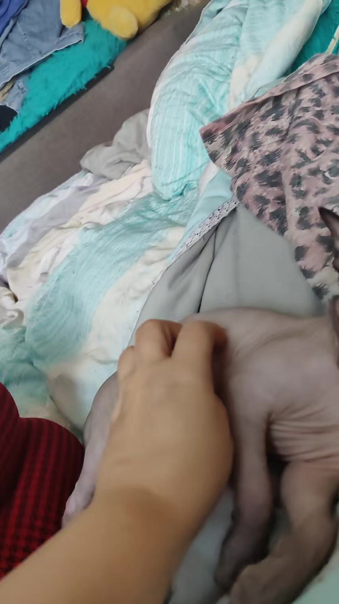 @zoloto_juliya