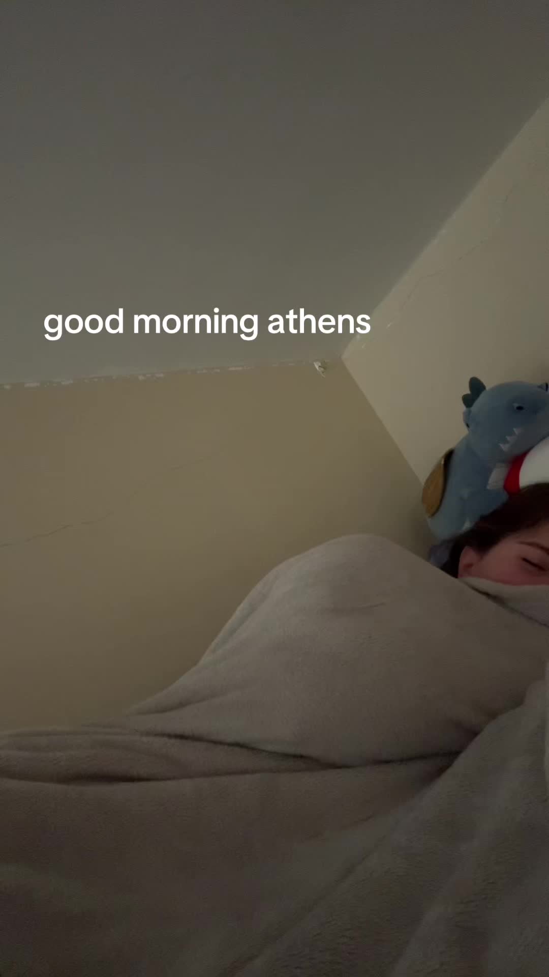 @stellaspam