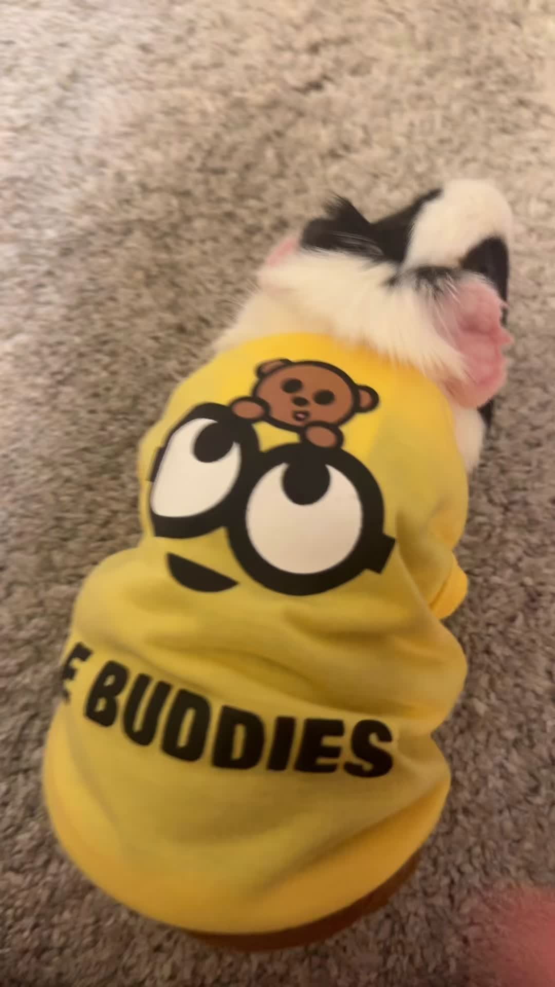 @LovelyJuice23
