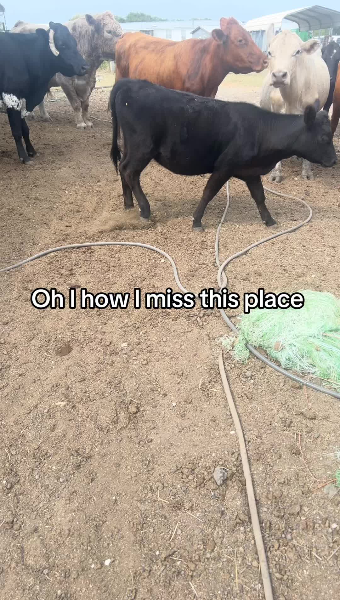 @Colby Davis