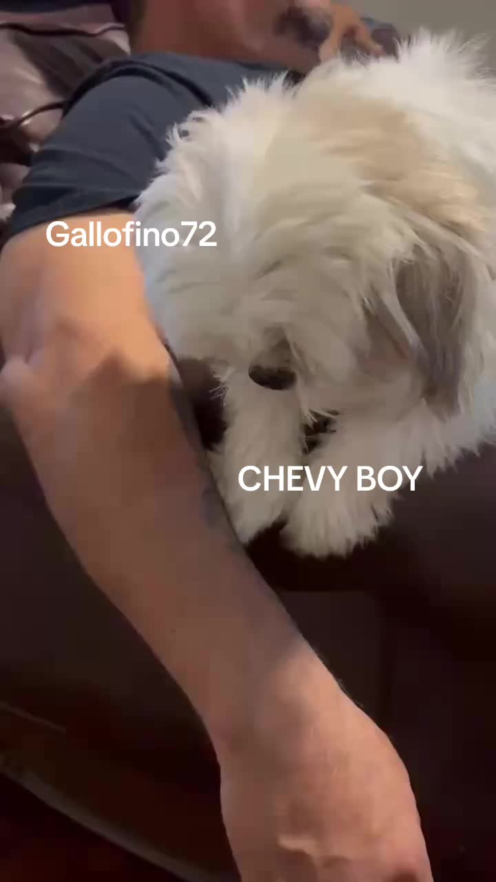 @ElGalloFino