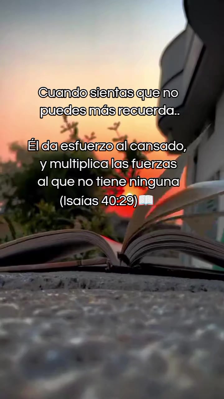 @Yudianny Rojas| Fe y provisión