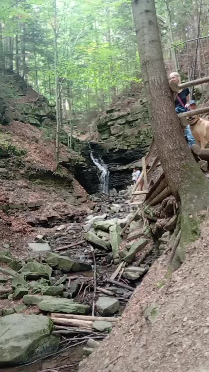 @Kaś