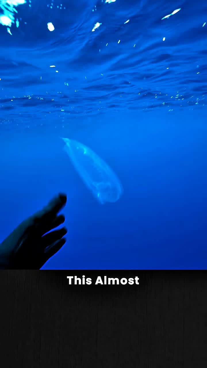 @MindBlow