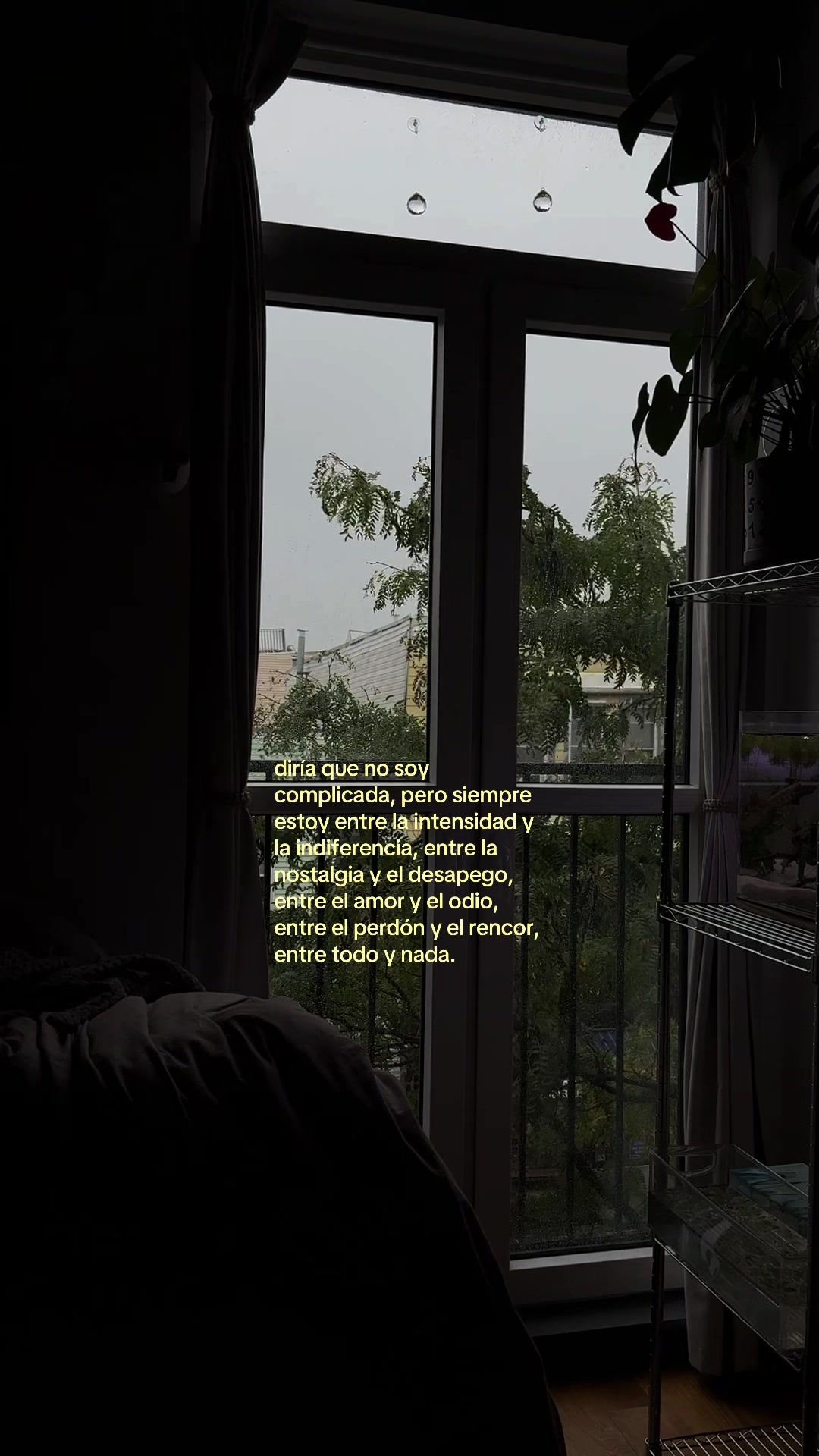 @mind your garden