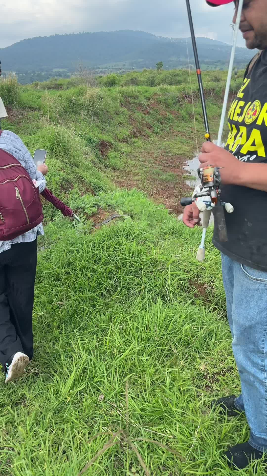 @Alma Padilla