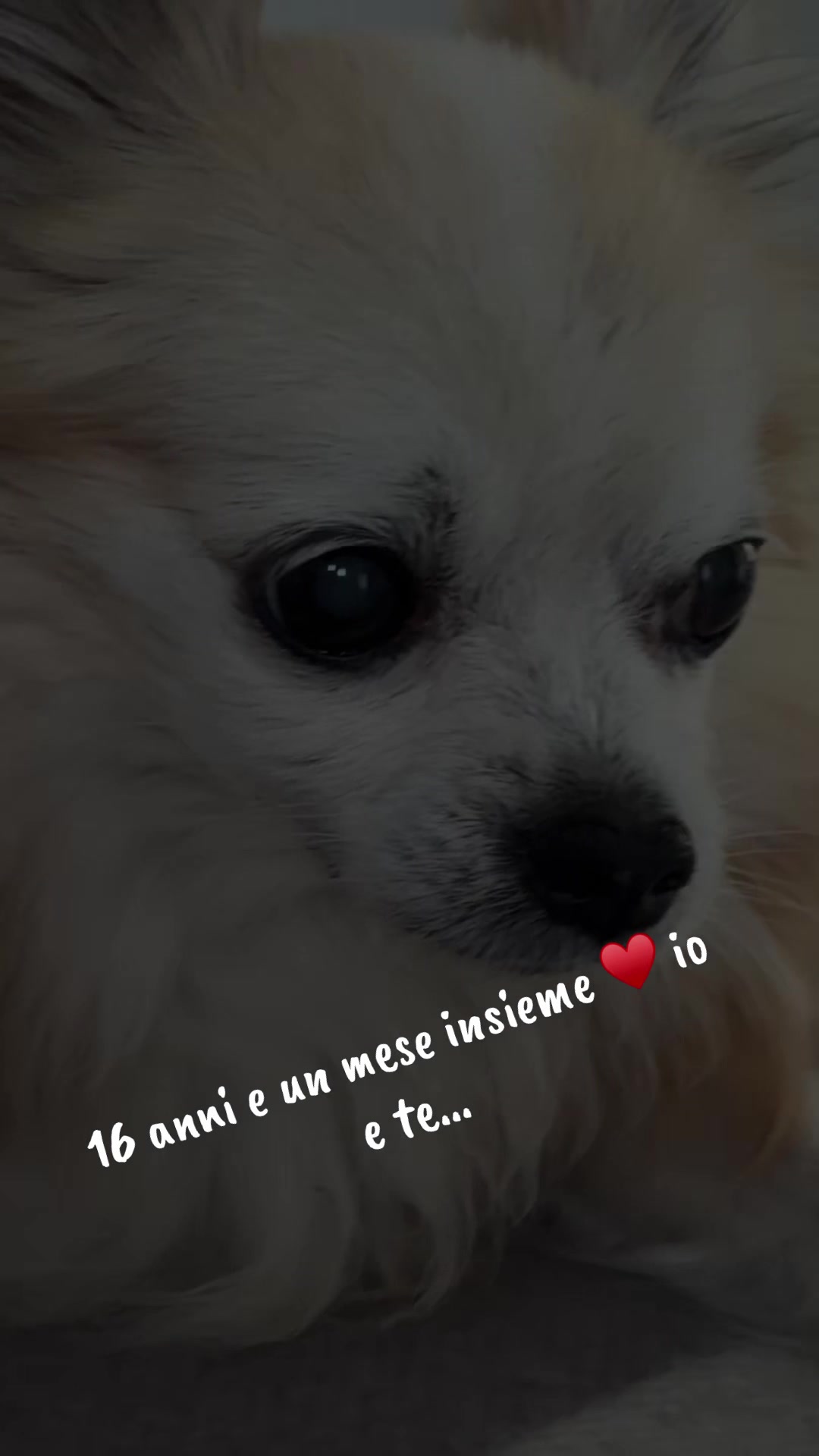 @Ma$$imo Fiorio