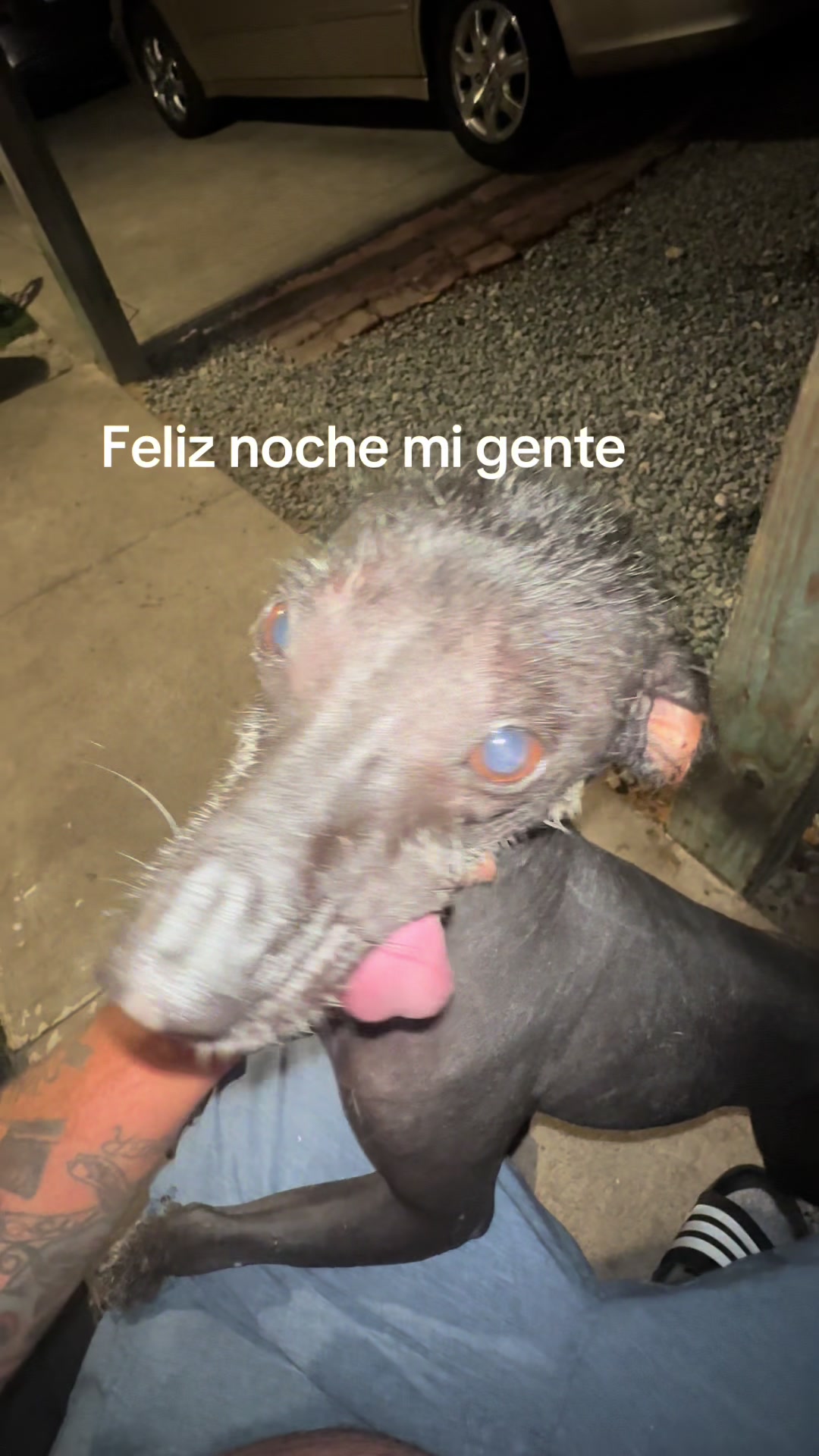 @Elcharitoopemex