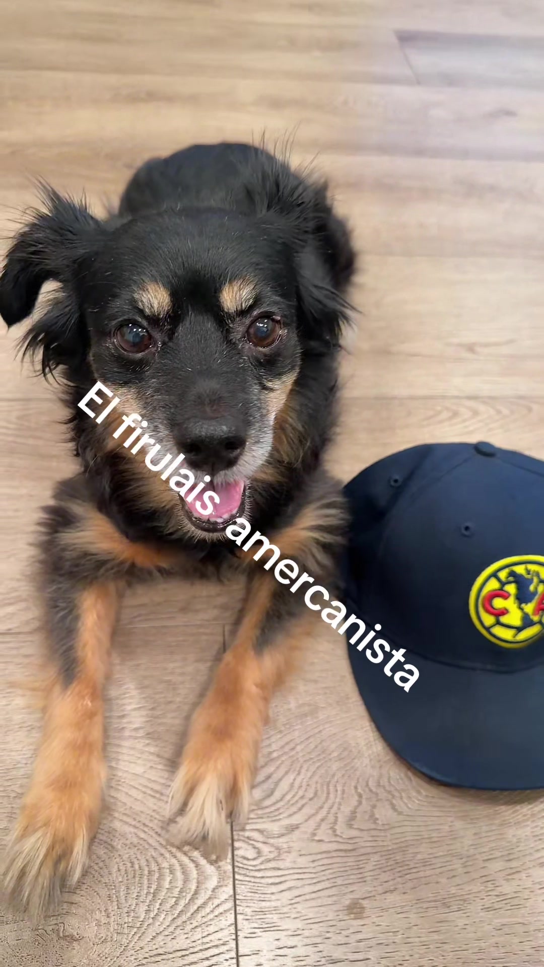 @Juanele