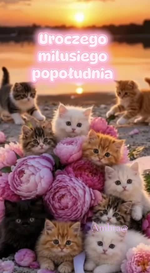 @Ambra@