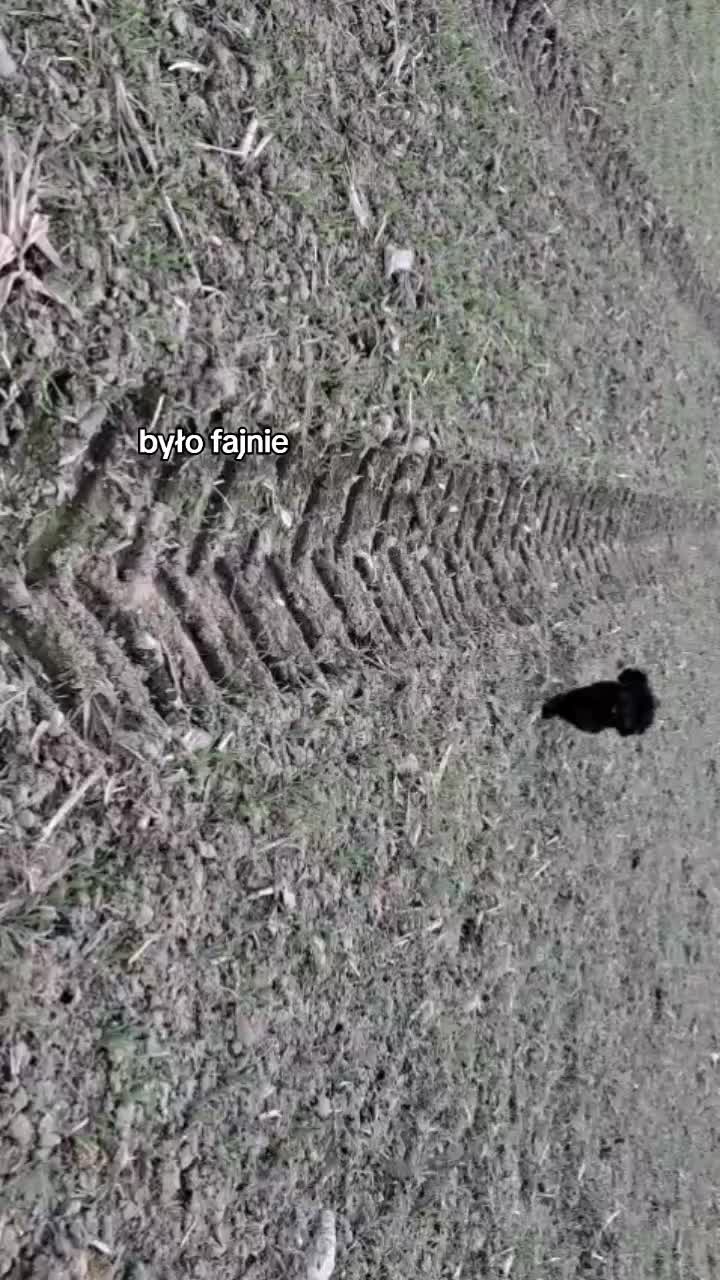 @🔥💯zvziaa_horse💯🔥