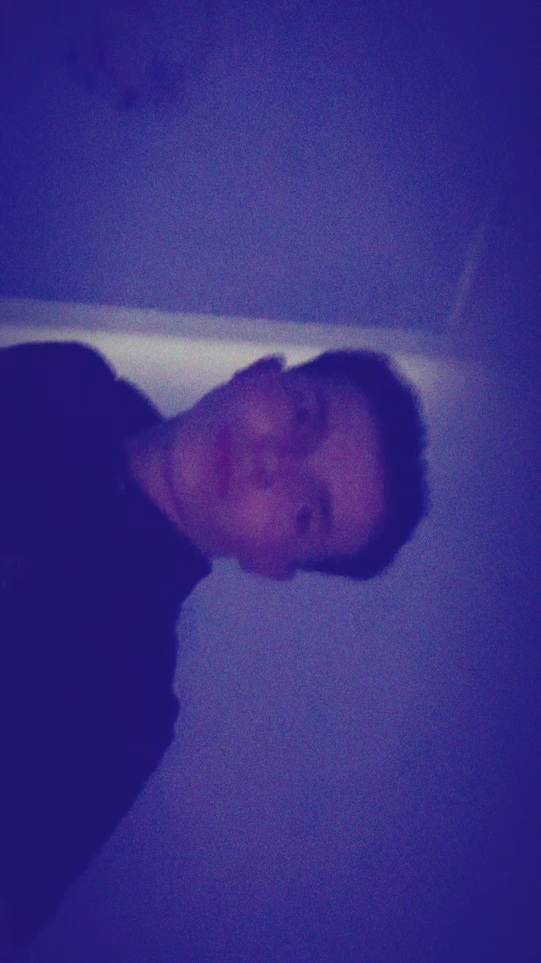 @lio.lipsync