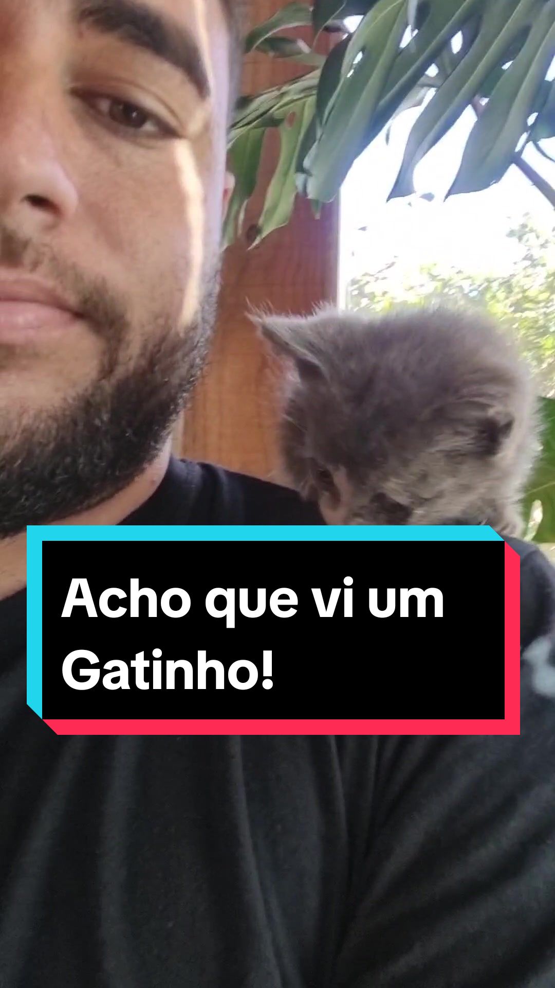 @Lucasgoncalvesbh