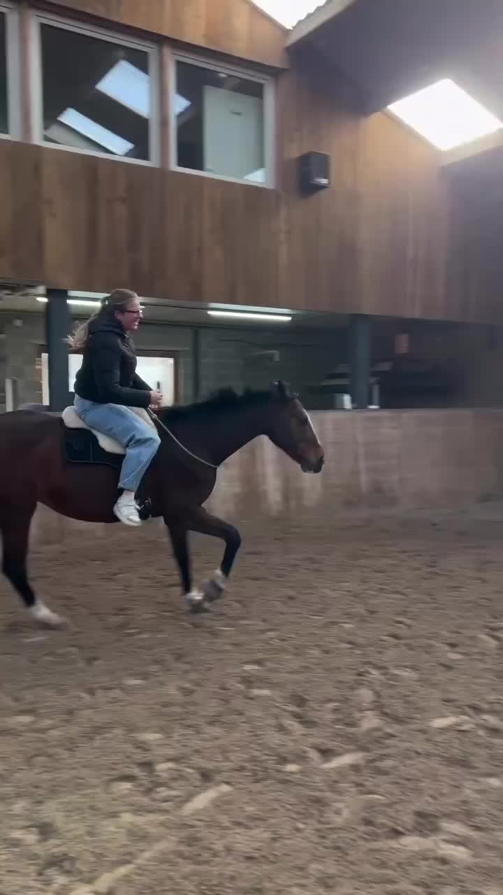 @ne.horses