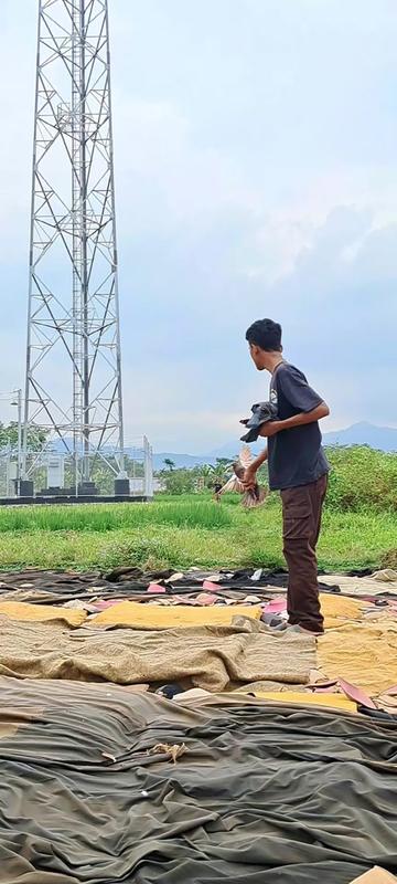 @SenggonoBf.