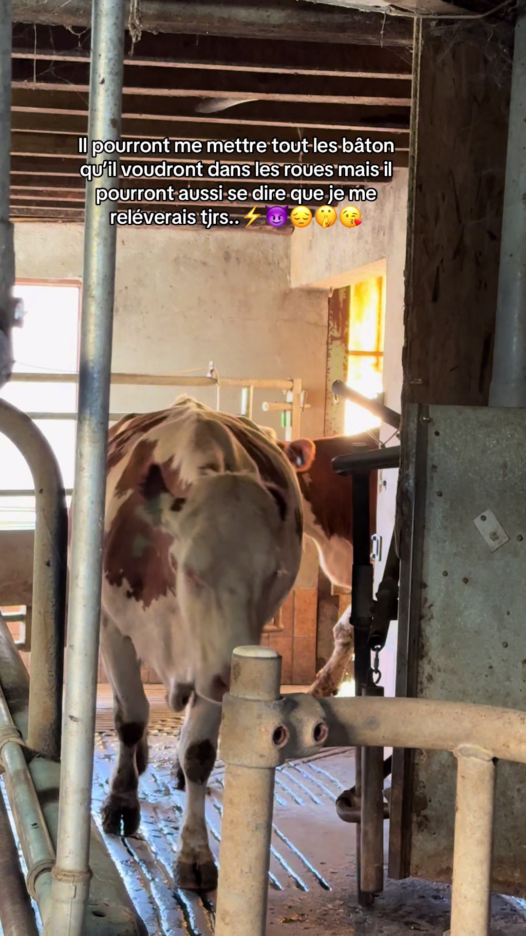 @louu!s_agri43!