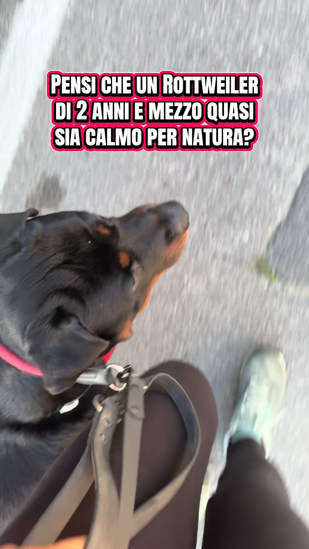 @Le avventure di Thor 🌪️ w ❤️