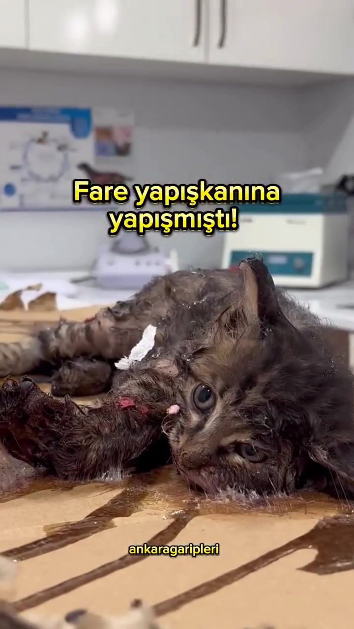@Asiye