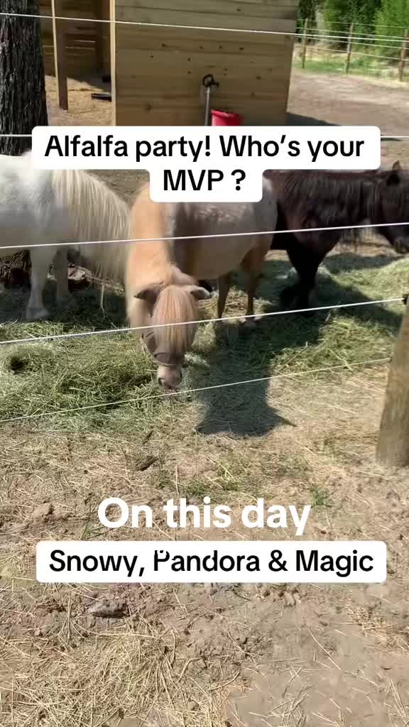 @itiswellstables