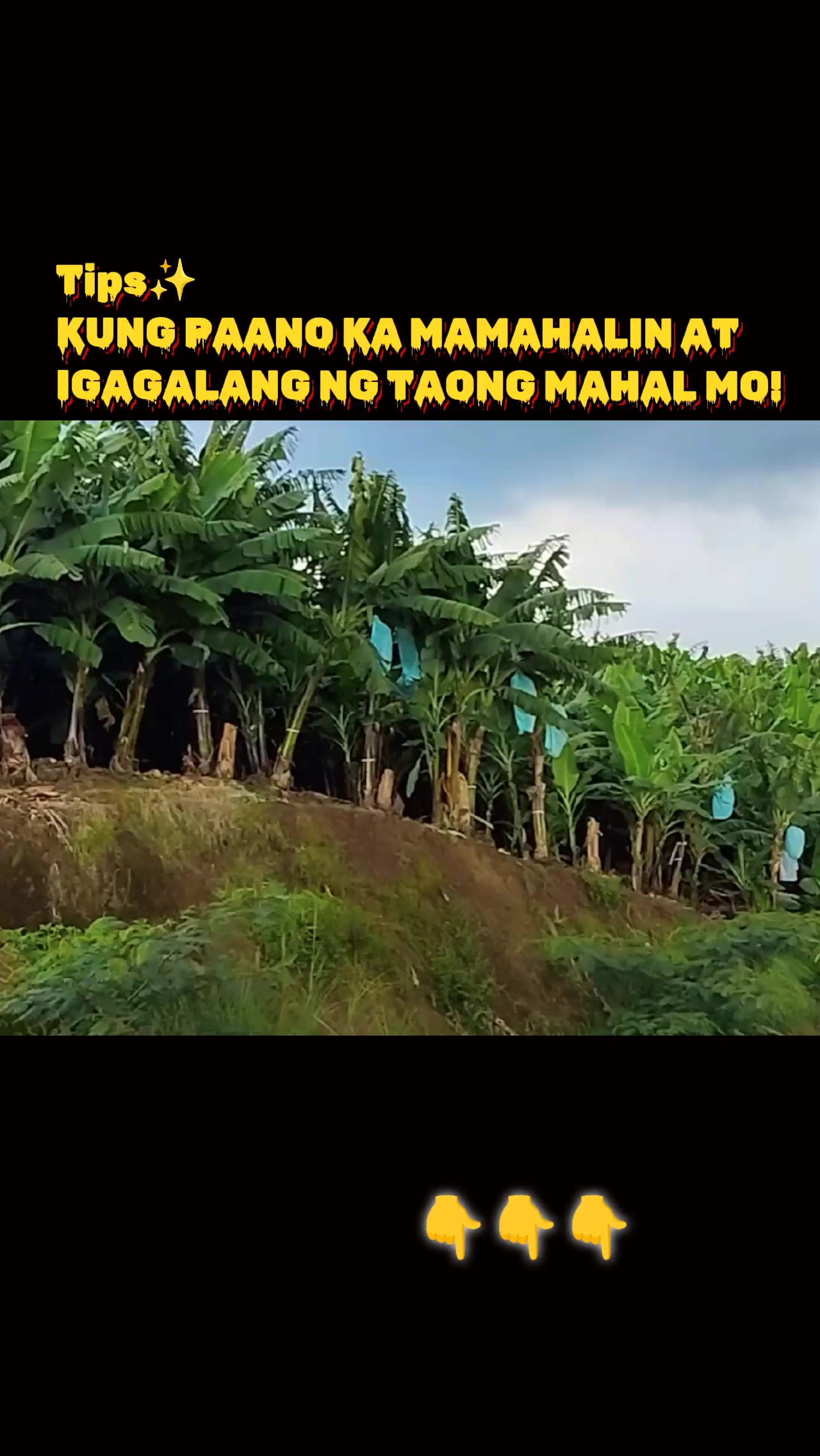 @ItsMeAih🧡