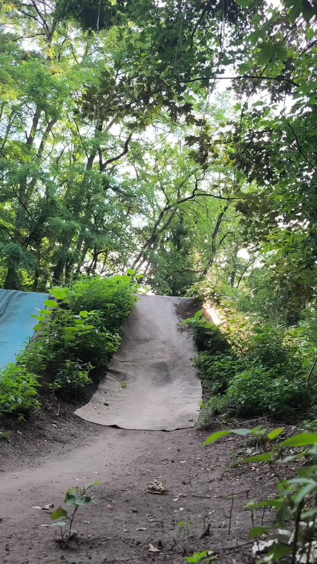 @LX_On_MTB