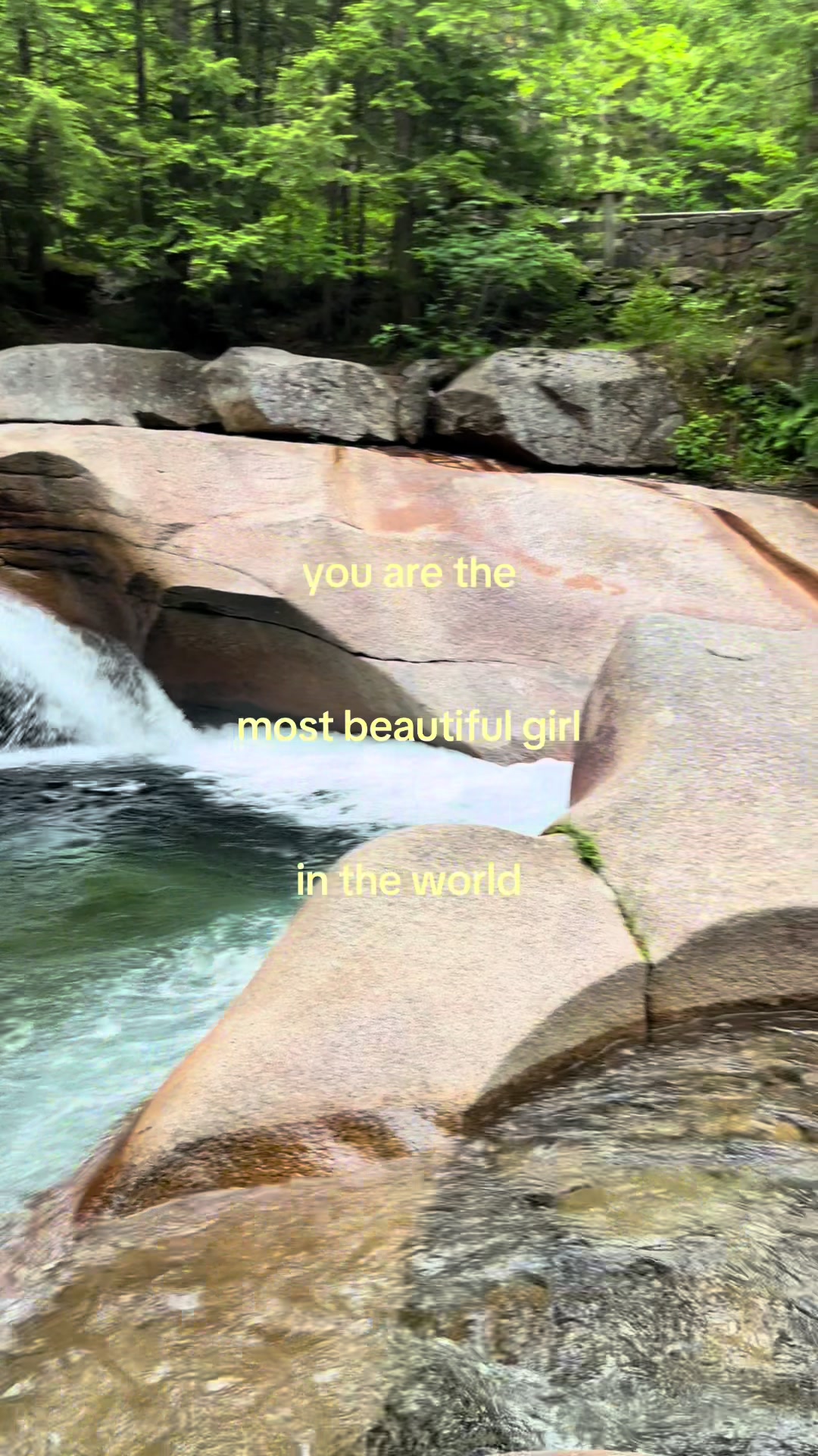 @🕊️