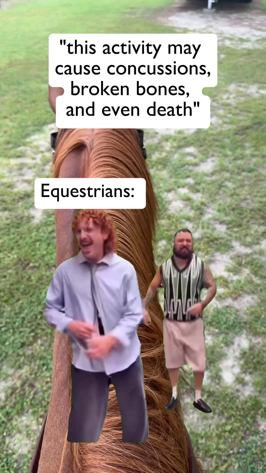@Horselife