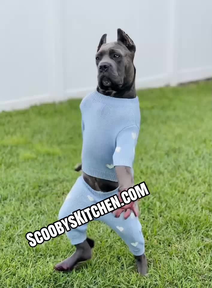 @ScoobysKitchen