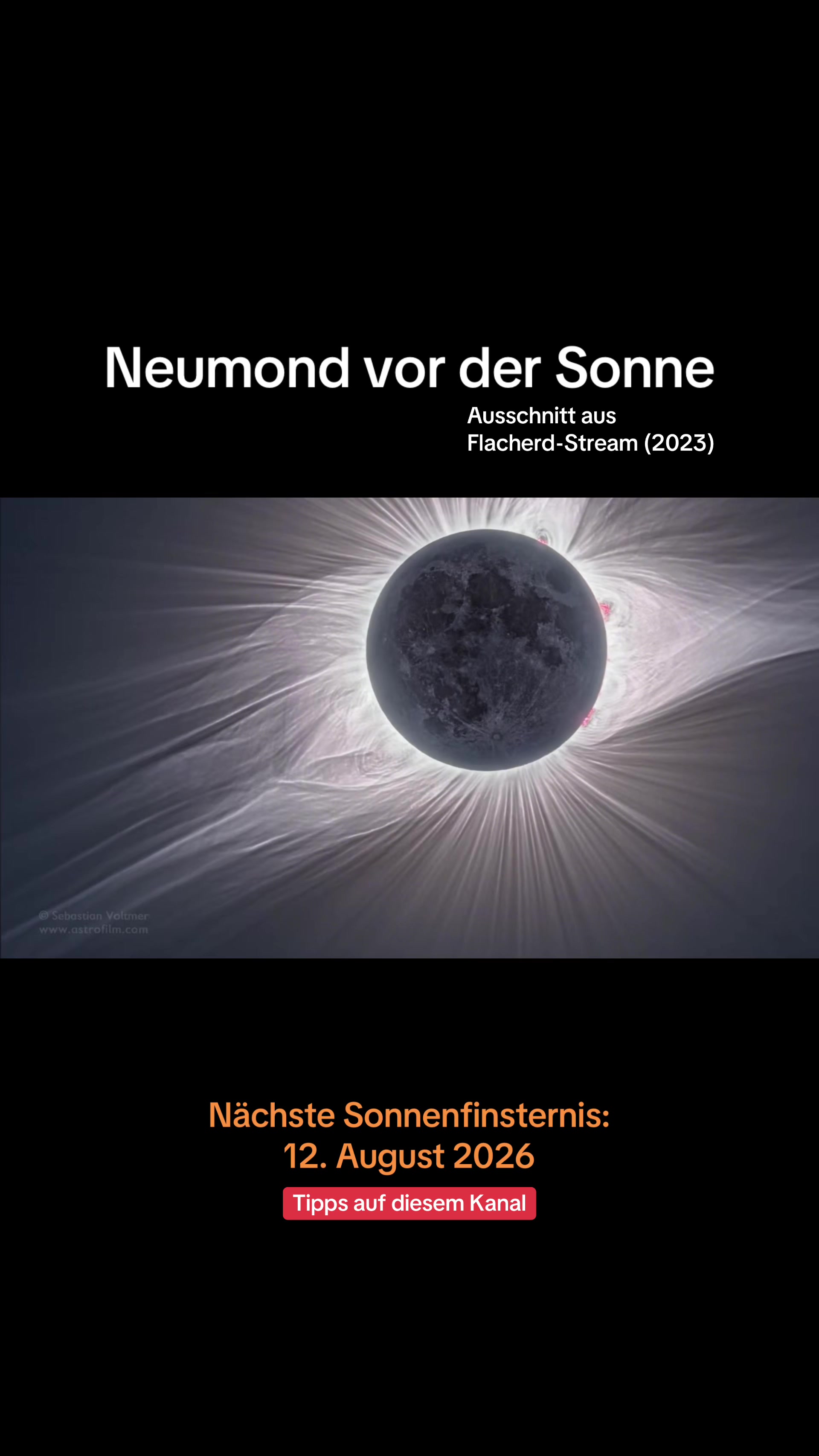 @Dr. Sebastian Voltmer ✨
