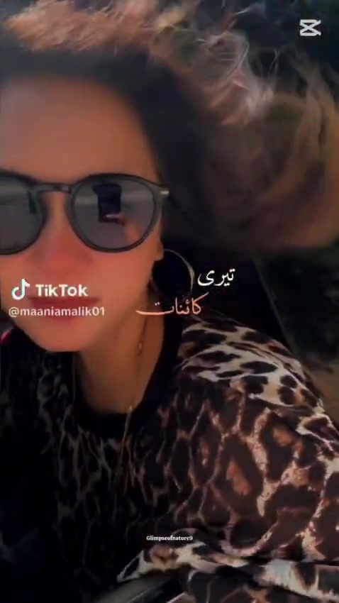 @Maaniamalik01