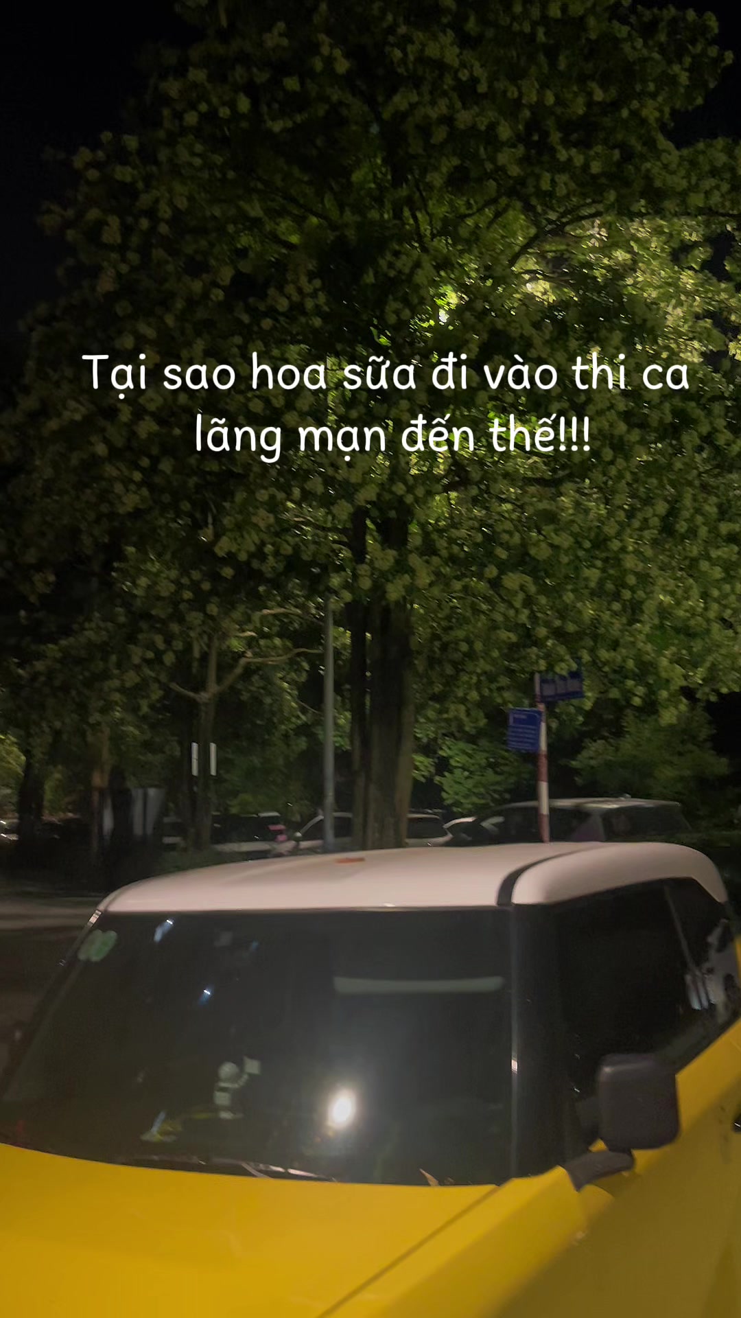 @C&ocirc; M&acirc;y H&agrave; Nội | Stylist