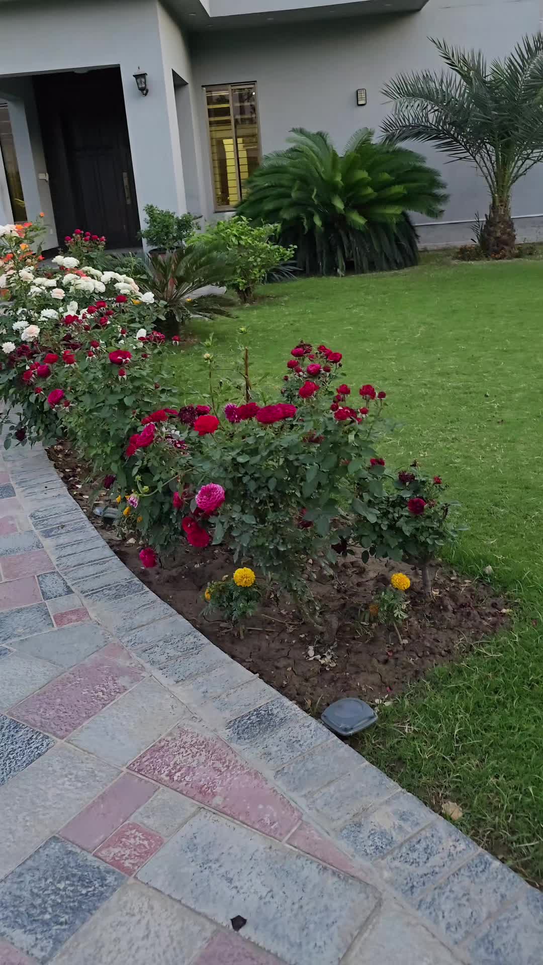 @Uzma Abbasi