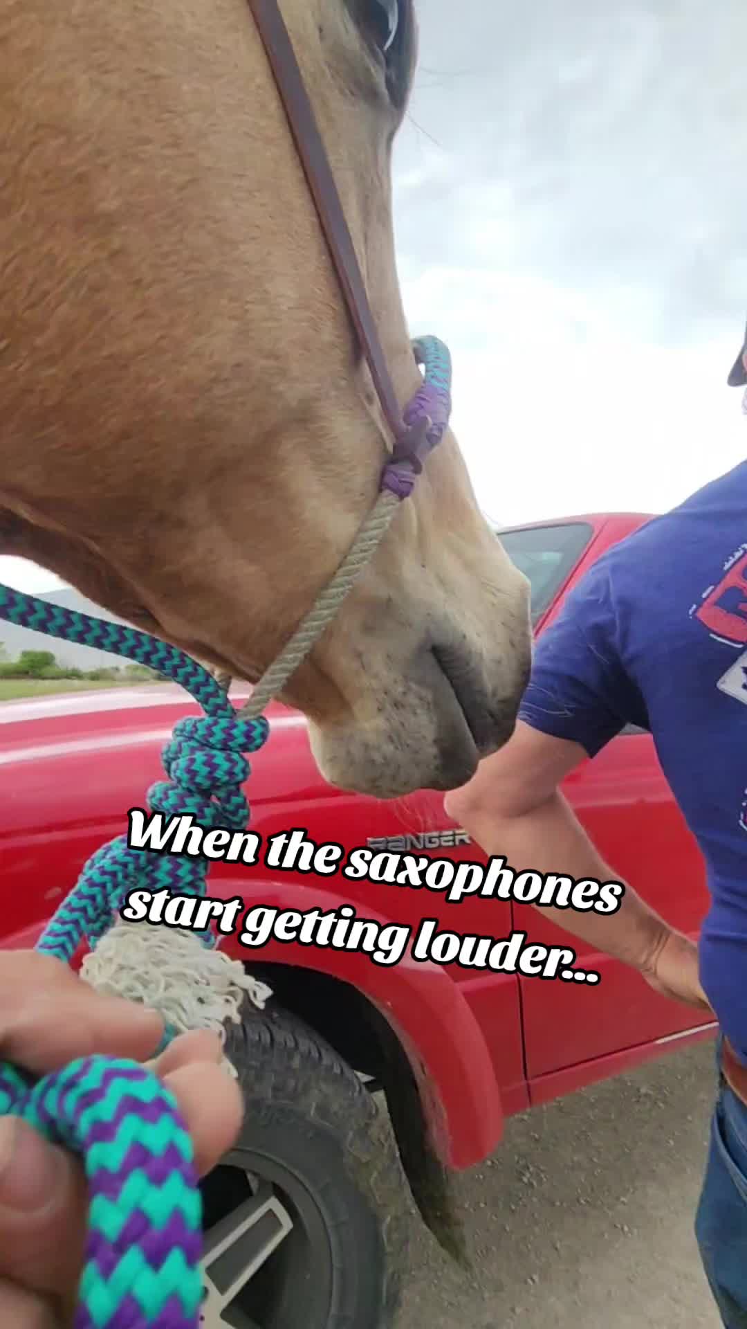 @Olsen Horse & Cattle Co. LLC
