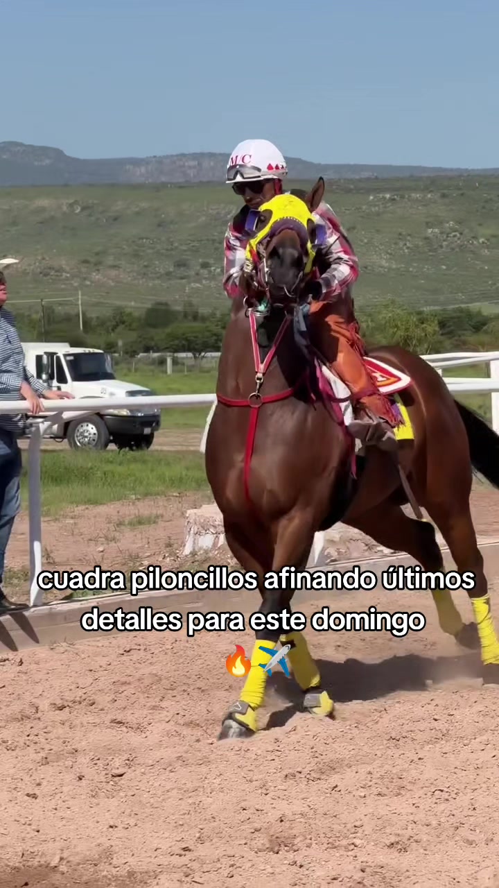@carriles altos de jalisco🐎