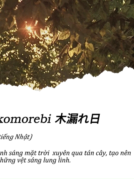 @Wordstruck - Garden of Words
