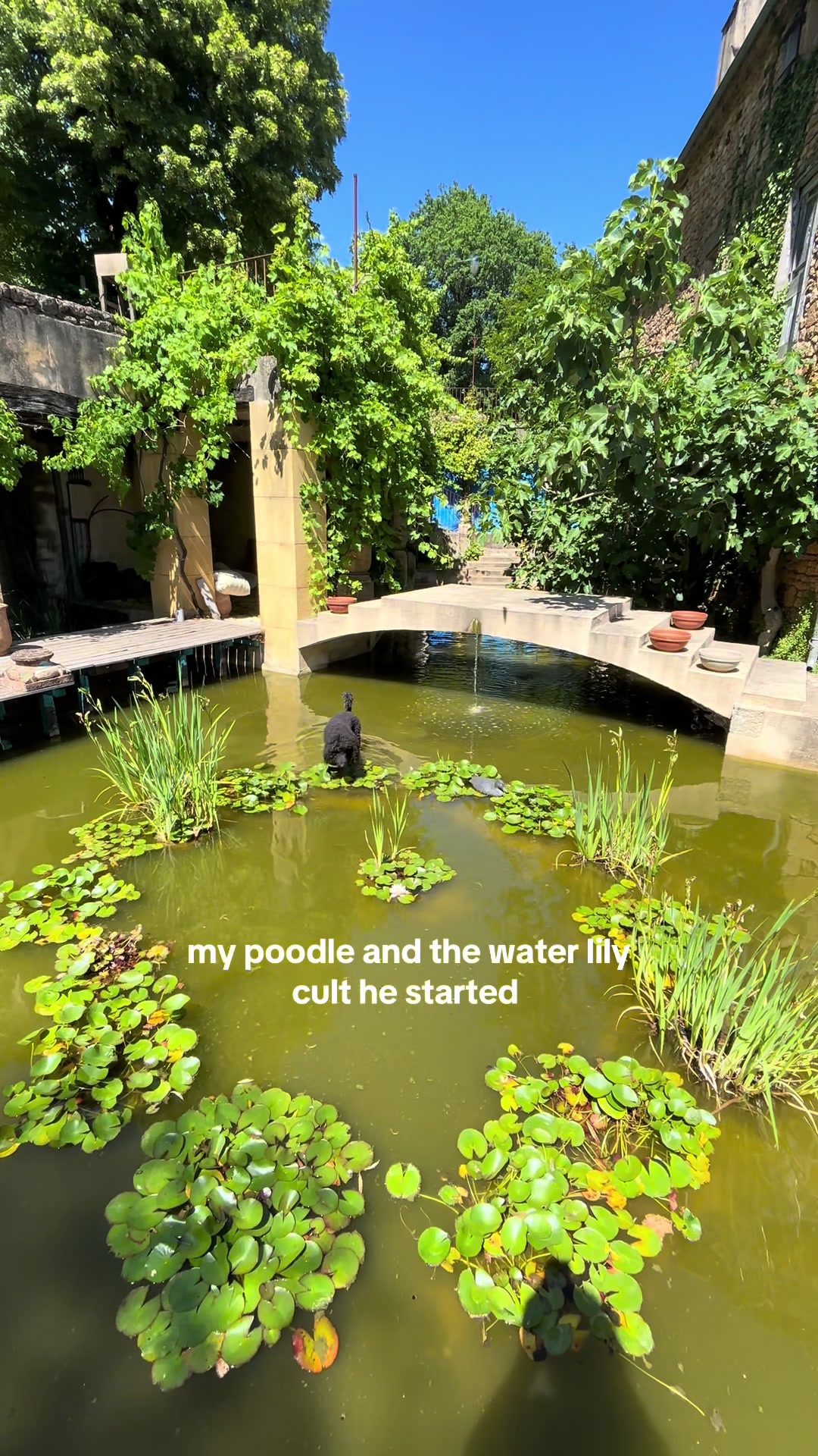 @justine-olympe