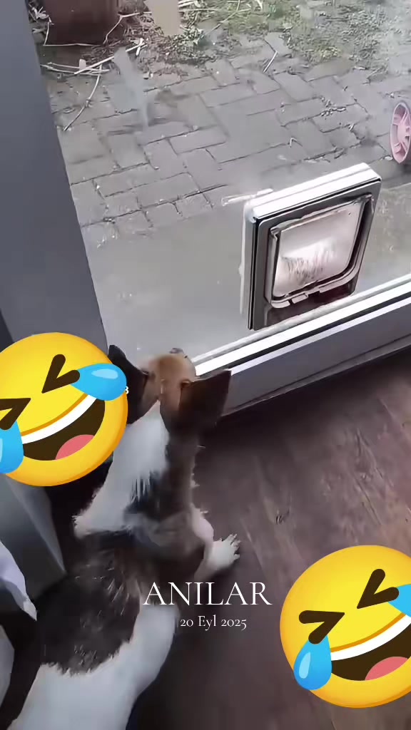 @Kömür Gözlüm