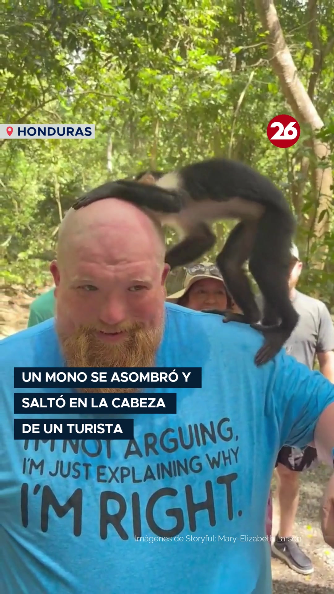 @Canal 26