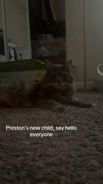 @usernameprestonn