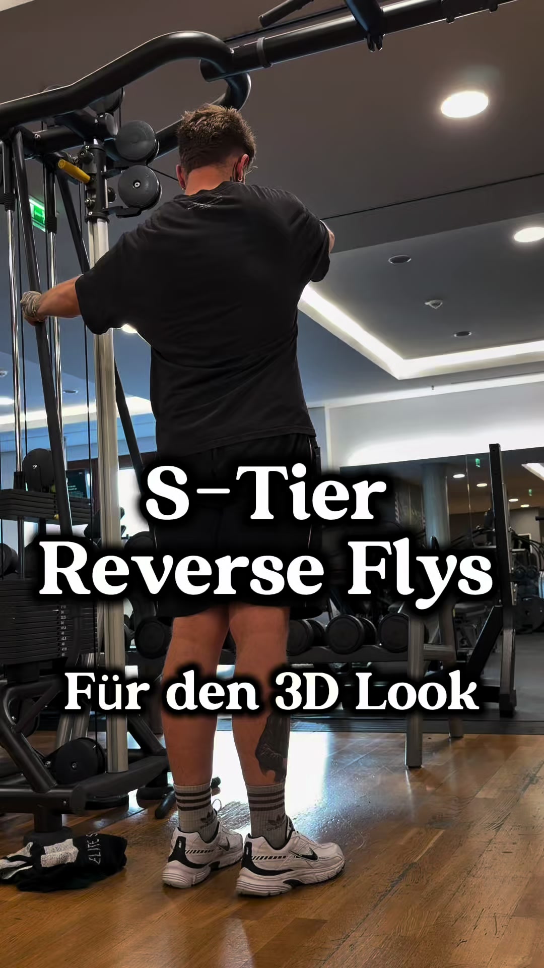 @louizz_gym