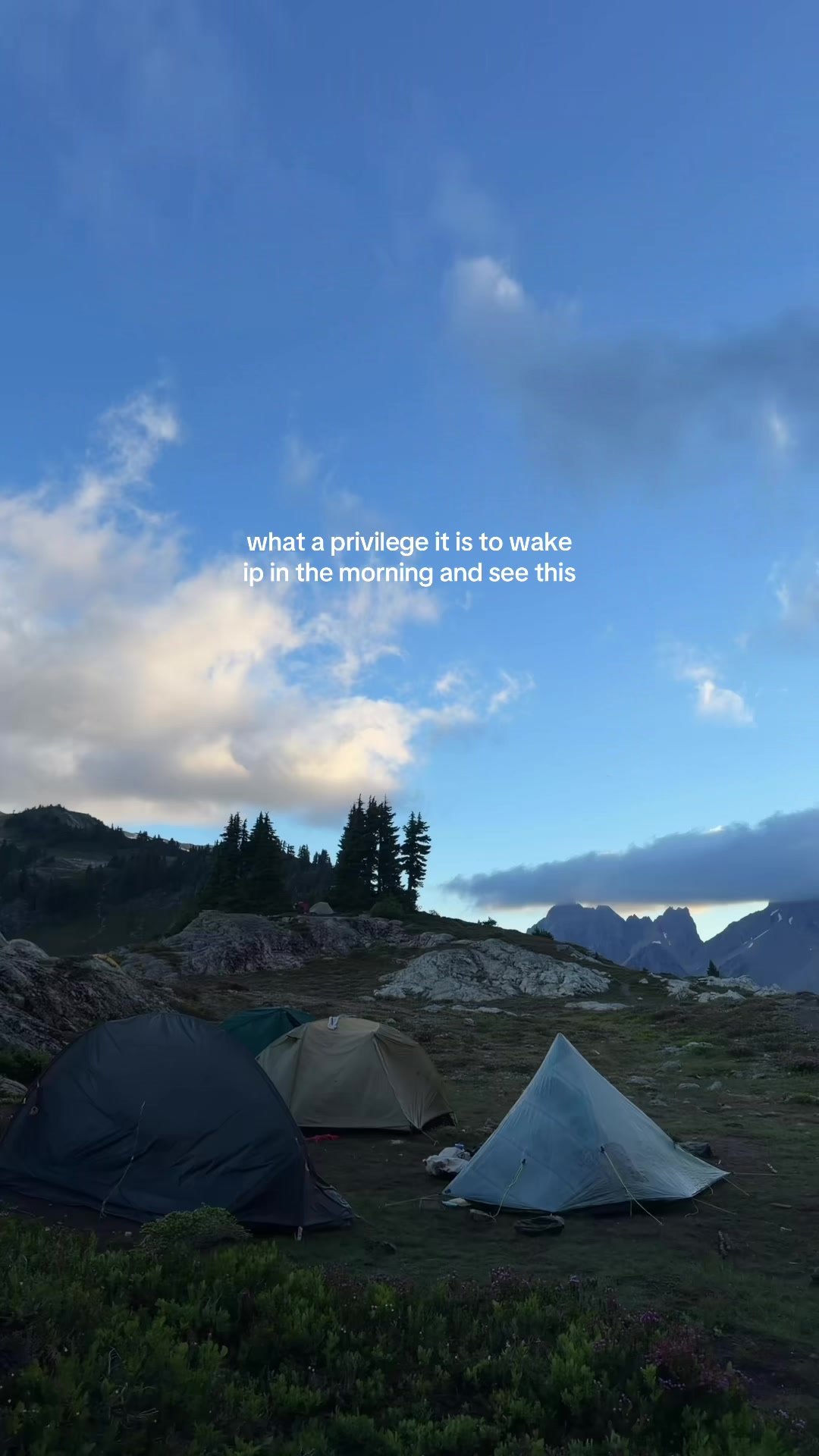 @Viksi | Traveler & Creator