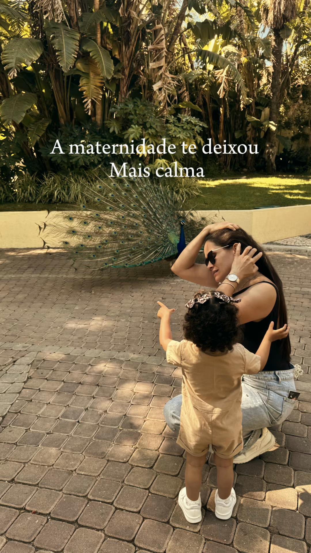 @Andressa Lopes
