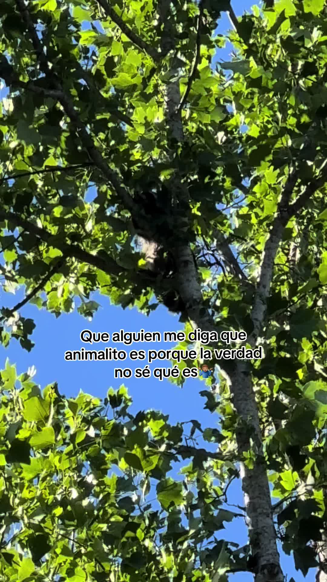 @el pay