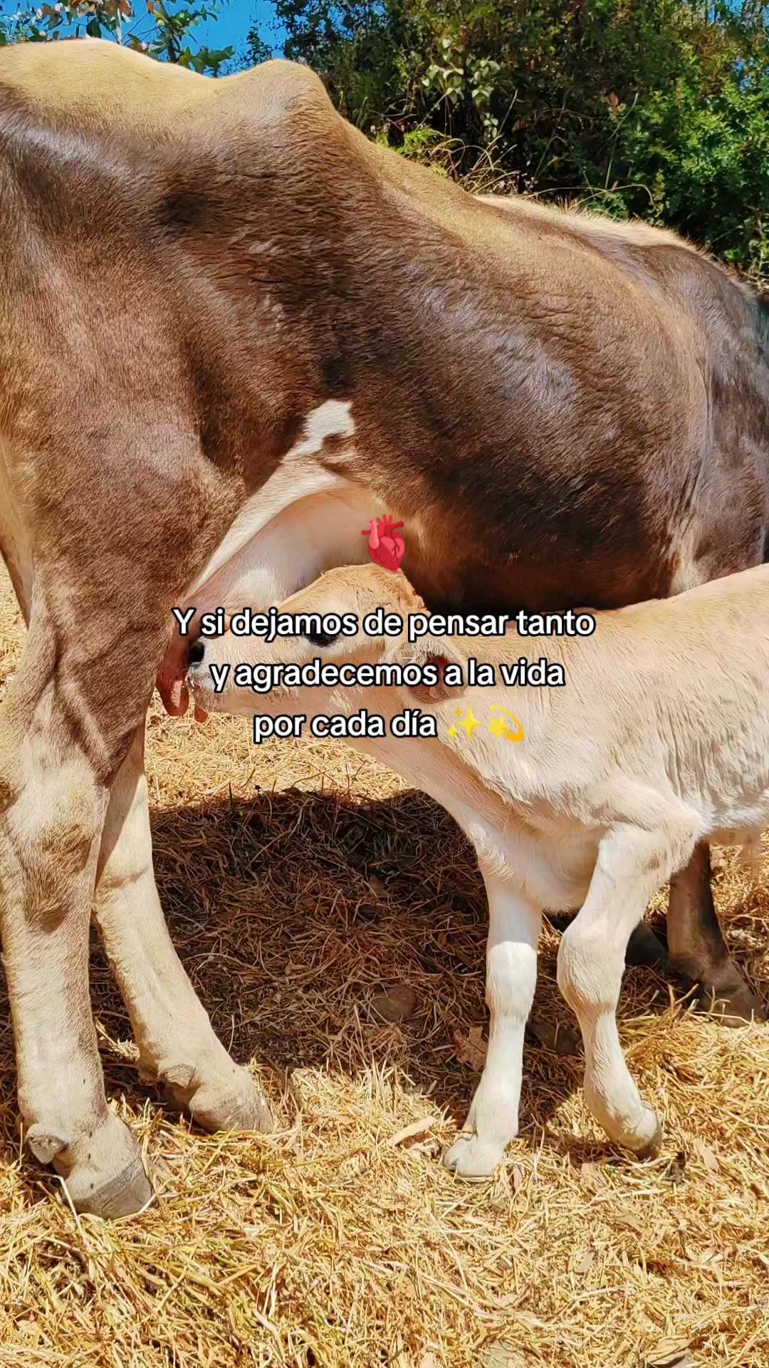 @Deysi Escudero